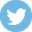 auto repair twitter icon