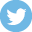 hail damage repair twitter icon